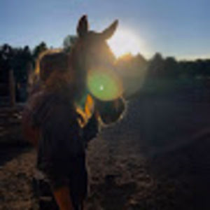 Meet your Posher, Maddy